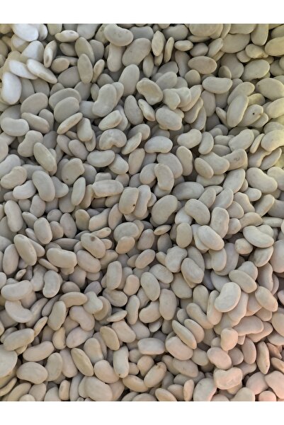 SELANİK 1kg Fasülye Erzincan