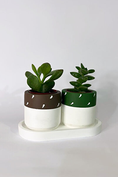 Simue Puantiyeli Beton Saksı Üçlü Set Küçük Boy Sukulent Saksısı