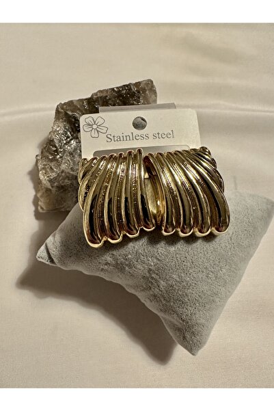 LEO HAİLEY BİEBER STEEL EARRING STYLISH LUXURY GOLD SILVER