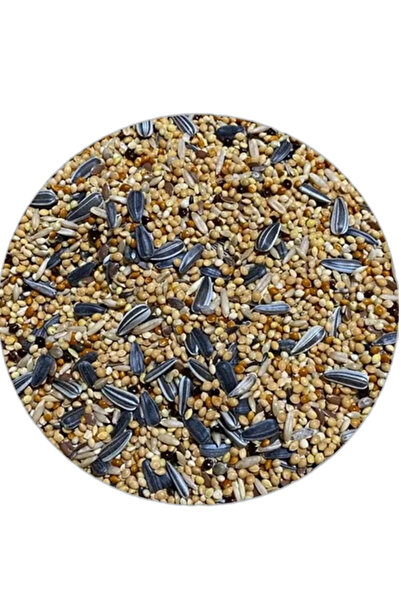 ÇIRPAN KUŞ DÜNYASI Karadeniz Üretim Özel Papağan (BİG PARAKEETS) Yemi 2 Kg (Ö...