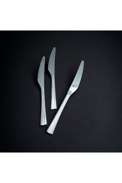 ARVEY 12-Piece Dining Knife Flat Model