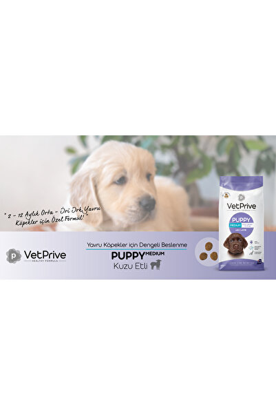 VetPrive Vet Prive Orta Ve Iri Irk Yavru Köpek Maması Kuzu Etli 14 Kg