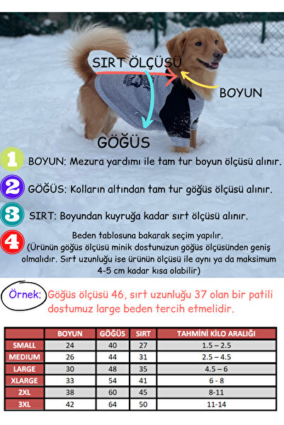 Genel Markalar Kedi Köpek Yılbaşı Özel Simli Nakış Noel Polarlı Elbise