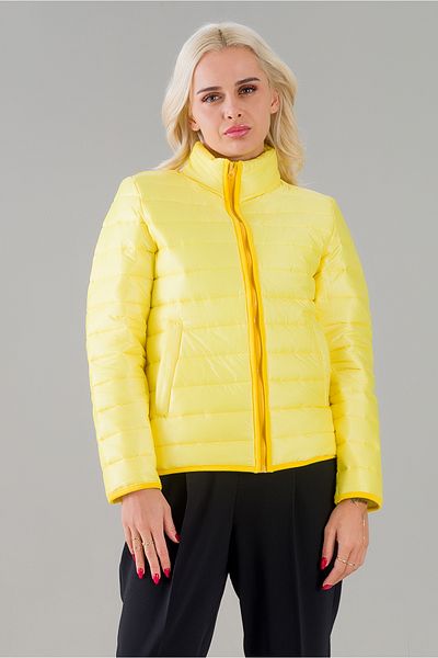 Bold & Young Palton pentru femei cu guler în picioare, cu buzunar plat, impermeabil, din fibră de silicon, cu guler în picioare