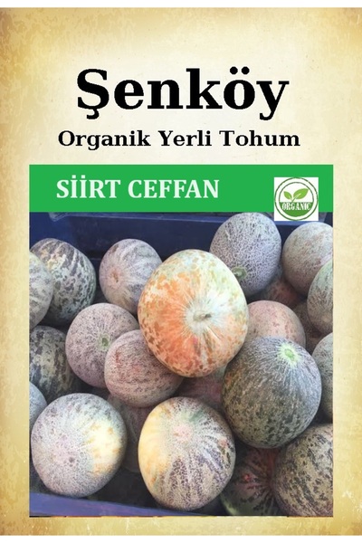 Şenköy Yerli Siirt Ceffan Kavun Tohumu Doğal Ata Tohum Pakette 5 Gr 150 Tohum...