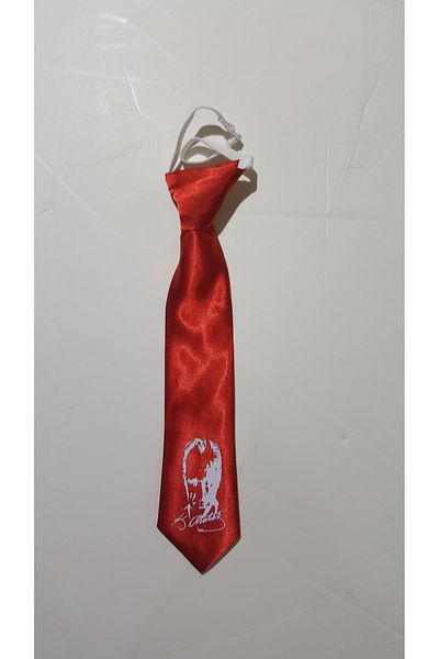 Şımarık Ataturk Printed Children's Tie - Elastic