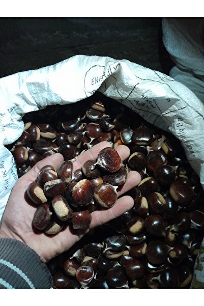 OrganikYemiş Meşhur Aydın Şekerci Kestane Kebaplık Haşlamalık Orta Boy 1-kg
