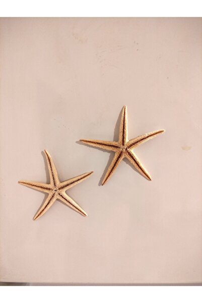 özde dekor Gerçek Deniz Yıldızı 2'li Magnet Set