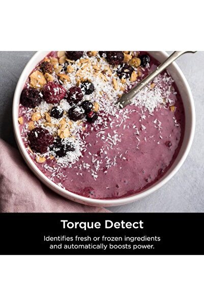 NINJA TB301 Detect Duo Power Blender Pro + Tek Servis