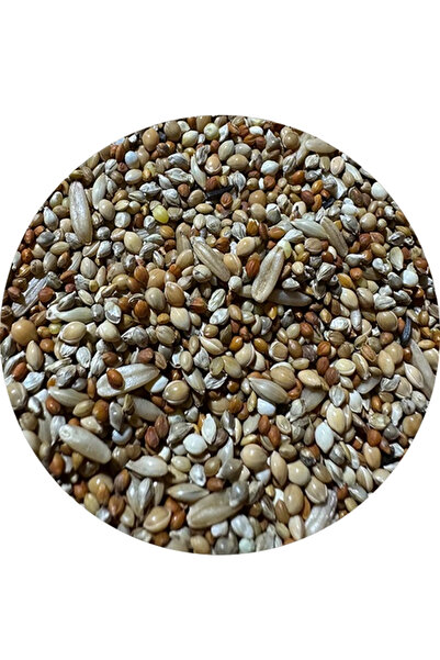 ÇIRPAN KUŞ DÜNYASI Yavru Ve Hasta Kuş Yemi 500 gr (ÖZEL VAKUMLU AMBALAJ)