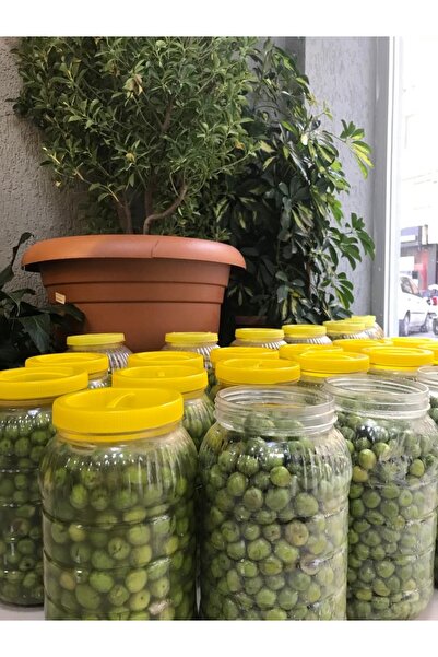 Hatay Has Çiftlik HALHALI KIRILMIŞ YEŞİL ZEYTİN (3LT)
