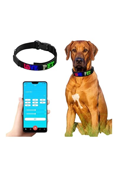 Bunico LED Işıklı Kişiselleştirilebilir Köpek Tasması