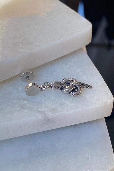 Jaida Moda Unisex 316l Surgical Steel Snake Figure Dangle Earrings