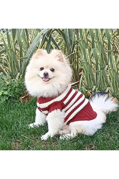 Pet clothes online