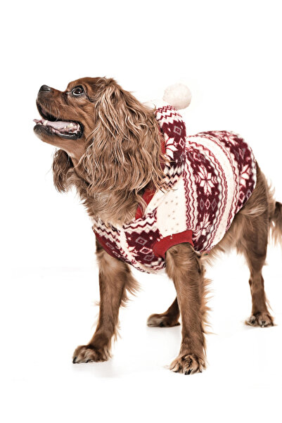 Petza Ponpon Polar Köpek Sweater