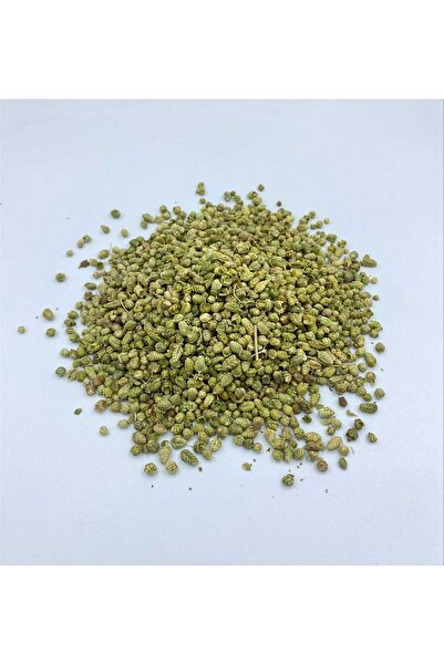 BİLYE KEKİK 60gr