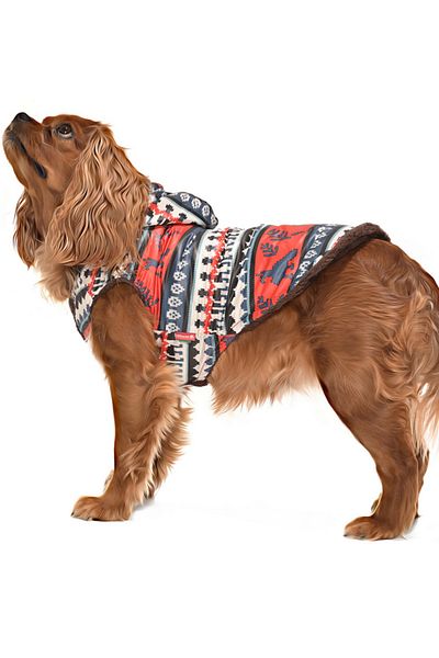 Petza Reindeer Dog Coat