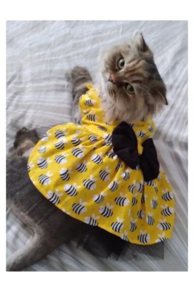 Gobo فستان قطة أصفر منقوش على شكل نحلة مقاس كبير/لتر/مقاس 3