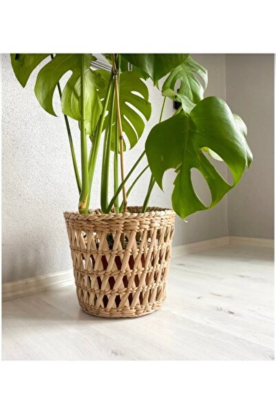 Tasarı Sanatı Ev Dekorasyon Hasır Özel Üretim Saksılık 27 cm Çap Ofis-Bahçe-B...