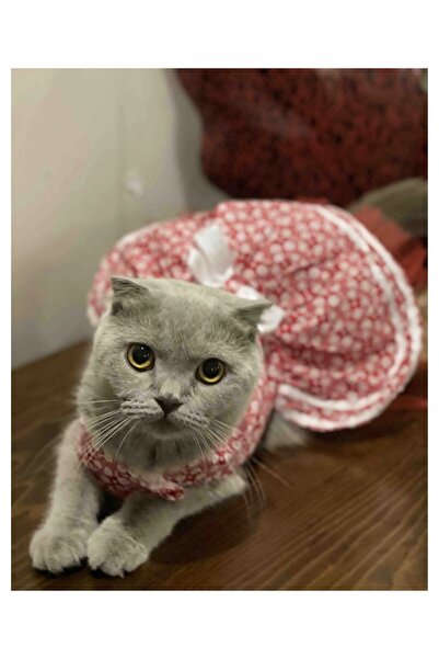 Gobo فستان كلب قطة حمراء بطبعة زهور بيضاء مع فيونكة مقاس XSmall/XS/Size 0