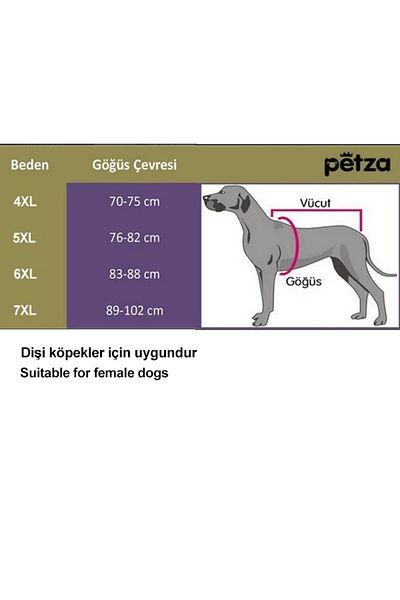 Petza Matabor Female Dog Raincoat