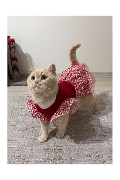 Gobo Flower Patterned Red Cat Dog Outfit Dress with Bow Tie