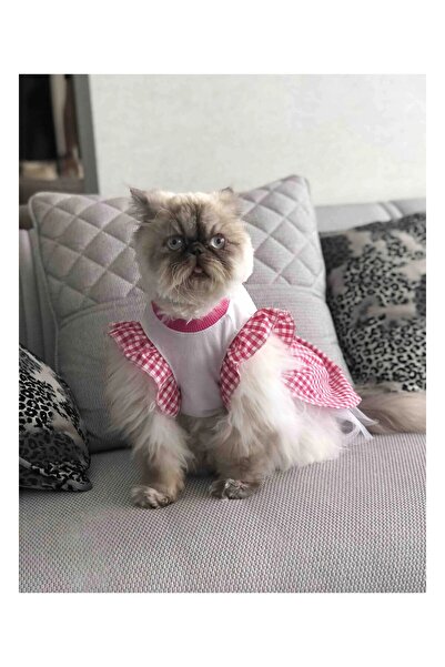 Gobo Pembe Kareli Papyonlu Dişi Kedi Köpek Kıyafeti Elbisesi XLarge/XL/Beden 4