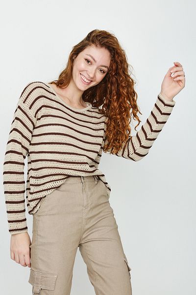 Select Moda Women's Brown Color Blocked Knitted Sweater