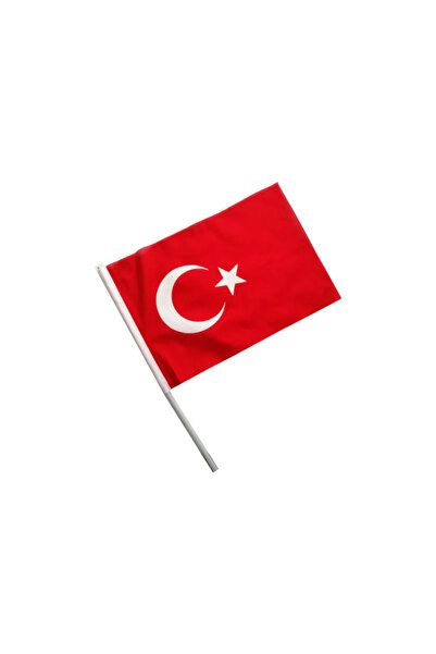 Şanlı TÜRK Bayrağı 30x45cm