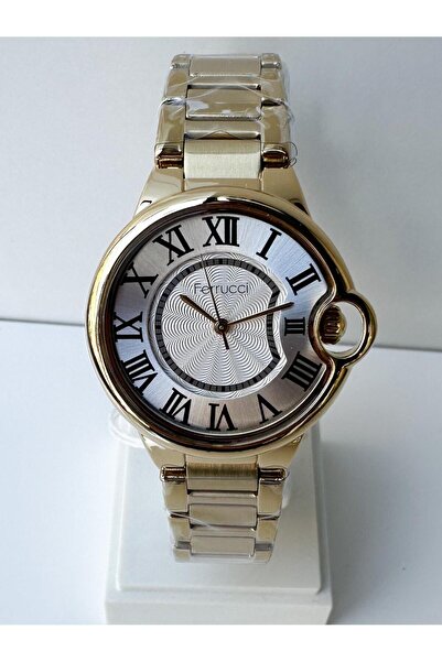 Ferrucci Roman Numeral Design Women's Wristwatch Frc.lmg.14366m.04
