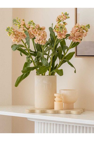 Sümeyra Marble Art TRAVERTINE DECOR TRAY - 15*25 cm