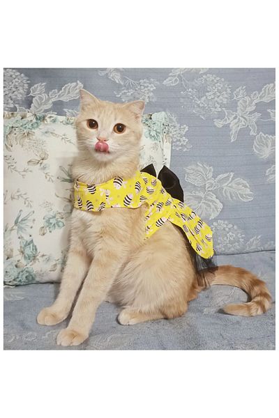 Gobo Bee Patterned Yellow Cat Dog Outfit Dress