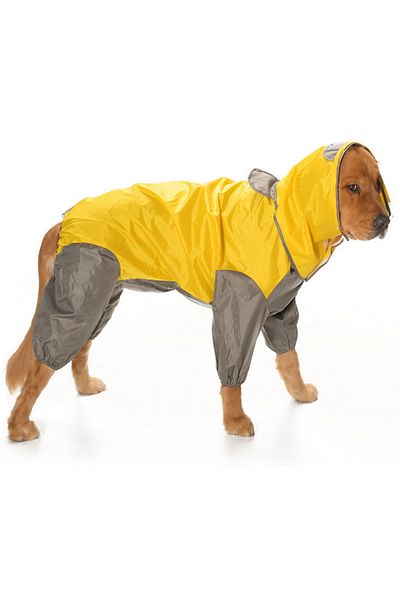 Petza Matabor Female Dog Raincoat