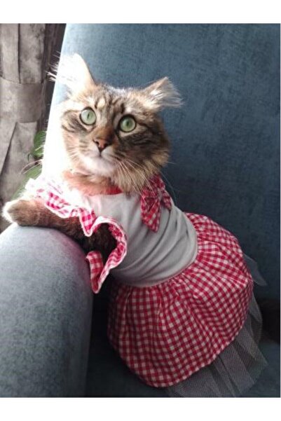 Gobo Pembe Kareli Papyonlu Dişi Kedi Köpek Kıyafeti Elbisesi