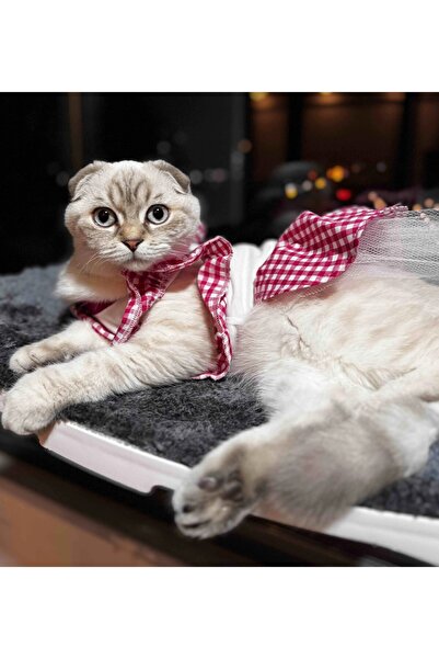 Gobo Pembe Kareli Papyonlu Dişi Kedi Köpek Kıyafeti Elbisesi Large/L/Beden 3