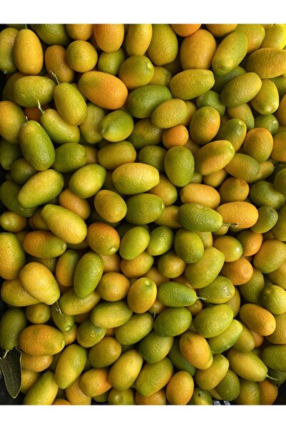 KILINÇ TROPİKAL 1KG KAMKAT