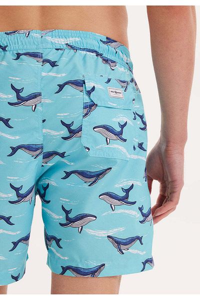 WESTMARK LONDON Turquoise Shark Printed Regular Fit Pantaloni scurți de mare pentru băieți Wmanımal Shark