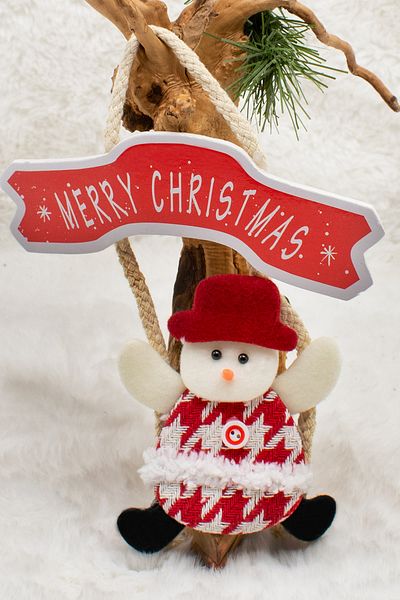 Waldern Professor Merry Christmas Christmas Door Ornament 26cm