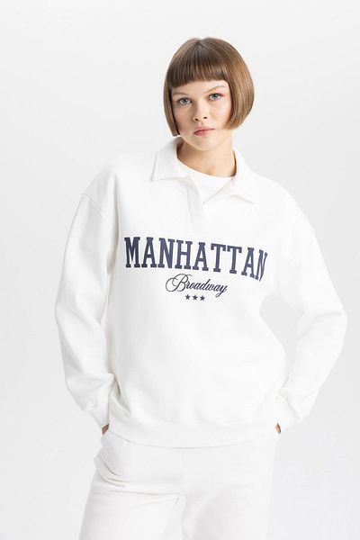 DeFacto Relax Fit Polo Collar Thick Sweatshirt B1847ax23au