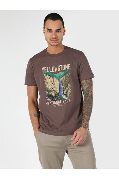 Colin's Men's Short Sleeve T-Shirt - Crew Neck, Printed, Brown, Regular Fit Cl 1061813