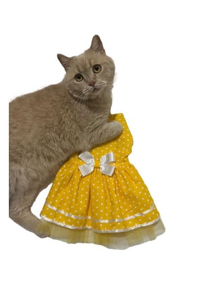Gobo Yellow Polka Dot Bow Tie Cat Dog Outfit Dress