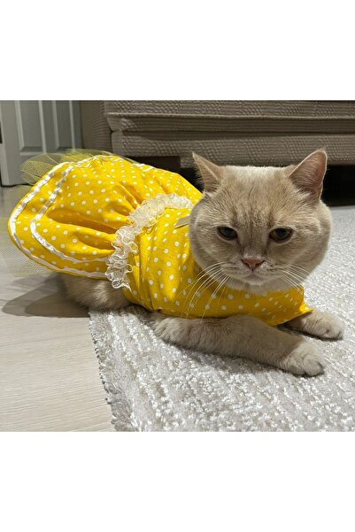 Gobo Sarı Puantiyeli Kurdeleli Kedi Köpek Kıyafeti Elbisesi
