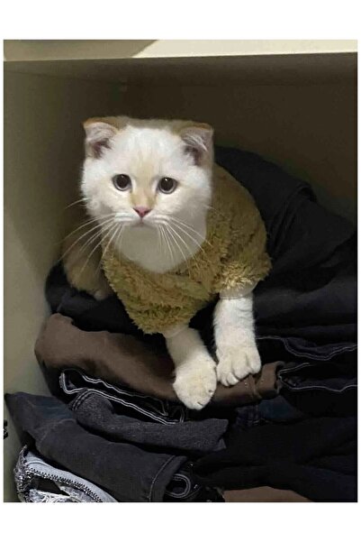 Gobo Welsoft Kışlık Sütlü Kahve Kedi Köpek Kıyafeti Elbisesi Small/s/beden 1