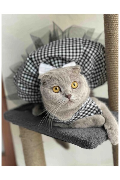 Gobo أبيض أسود متقلب أنثى القط الكلب الزي كبير / لتر / الحجم 3