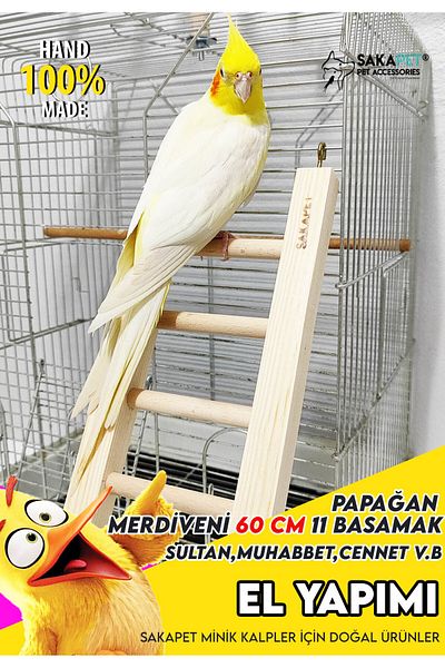 SAKAPET 60 Cm Love Bird - Cockatiel, Budgie, Forpus Bird