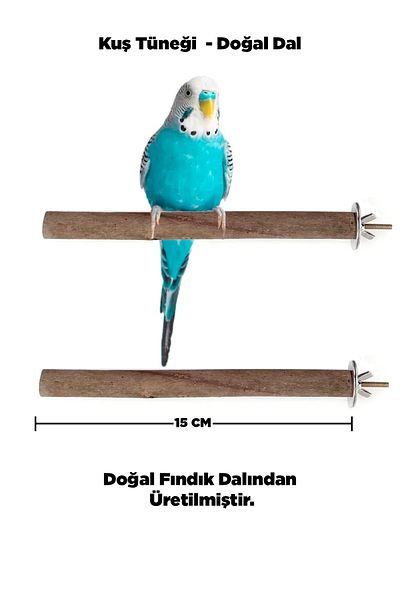 Kuzeylina Natural Wooden Bird Perch 15 Cm - Real Hazelnut Branch