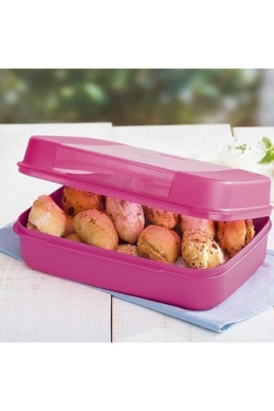 Tupperware Large Storage Box