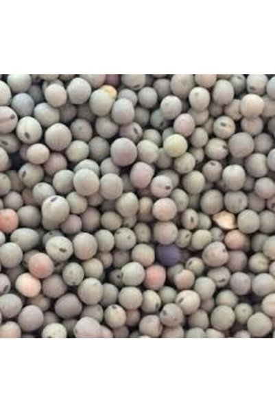 Agrobazaar Kirazlı Yem Bezelyesi Tohumu 1 Kg