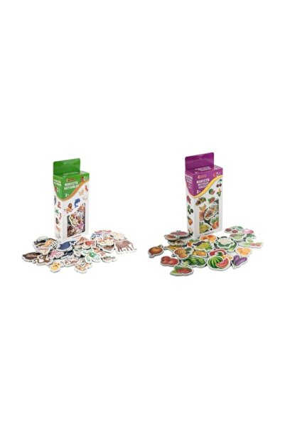 Diytoy Eğitici Manyetik Hayvanlar + Manyetik Meyveler Sebzeler