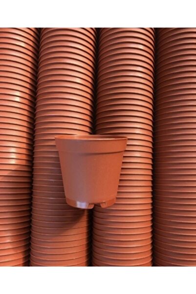 ARAS 5,5 Lik Üretim Saksısı Kaktüs Saksısı Sukulent Saksısı